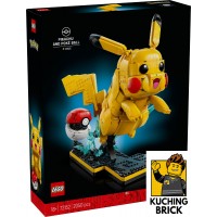 72152 POKEMON Pikachu and Poké Ball {Poke}